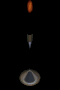 candletall.gif